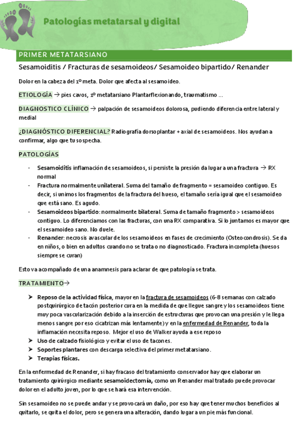Miniatura del documento Patologias-en-los-metatarsianos.pdf