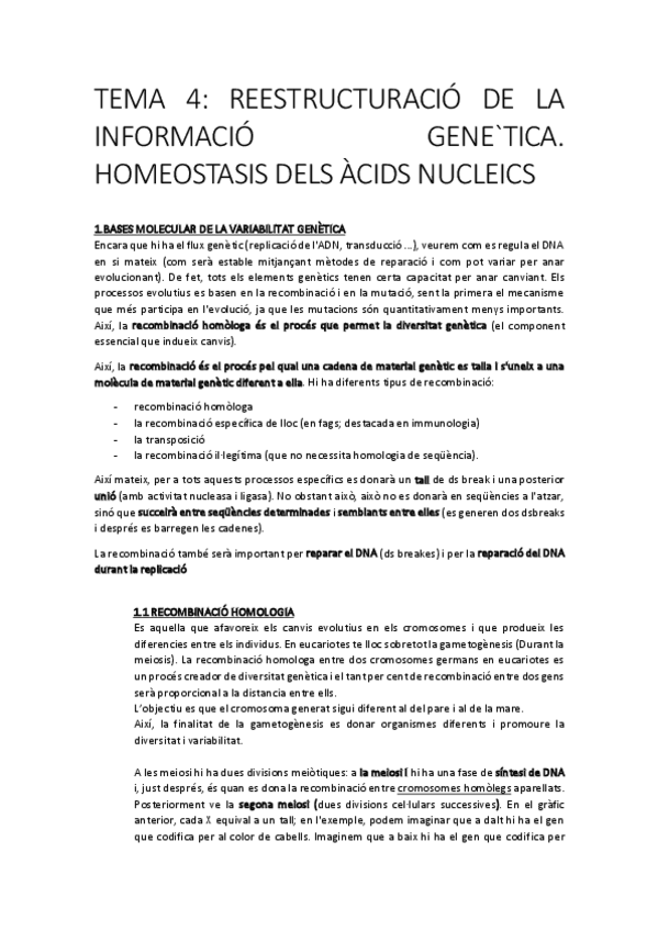 Miniatura del documento TEMA-4.pdf