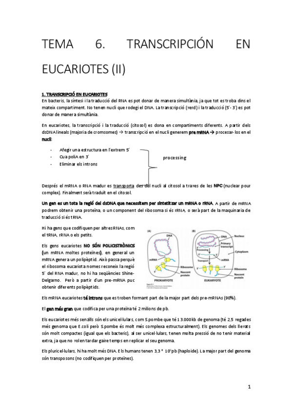 Miniatura del documento TEMA-6.pdf