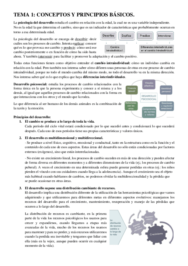 Miniatura del documento TEORÍA Y RESUMEN DE PRÁCTICAS_DESAROLLO SAS.pdf