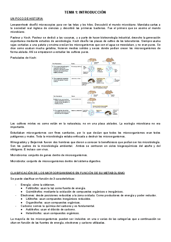 Miniatura del documento TEMA-1-intro.pdf