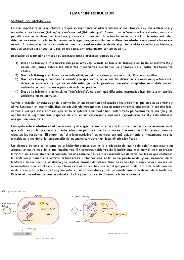 Miniatura del documento TEMA-1-introduccion.pdf
