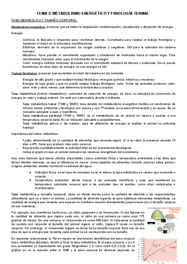 Miniatura del documento TEMA-3metabolismo.docx.pdf