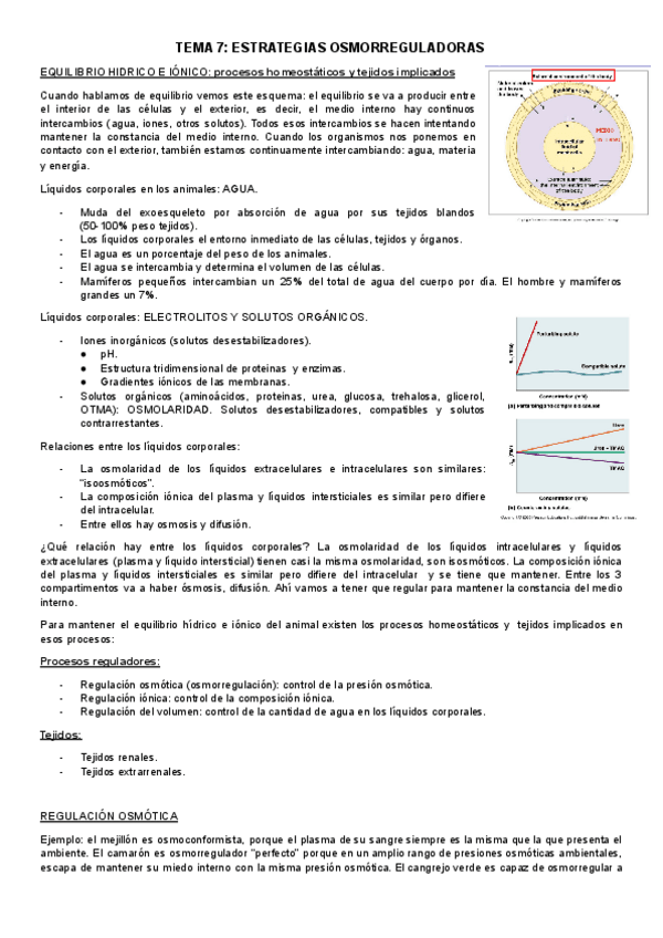 Miniatura del documento TEMA-7osmorregulacion.pdf