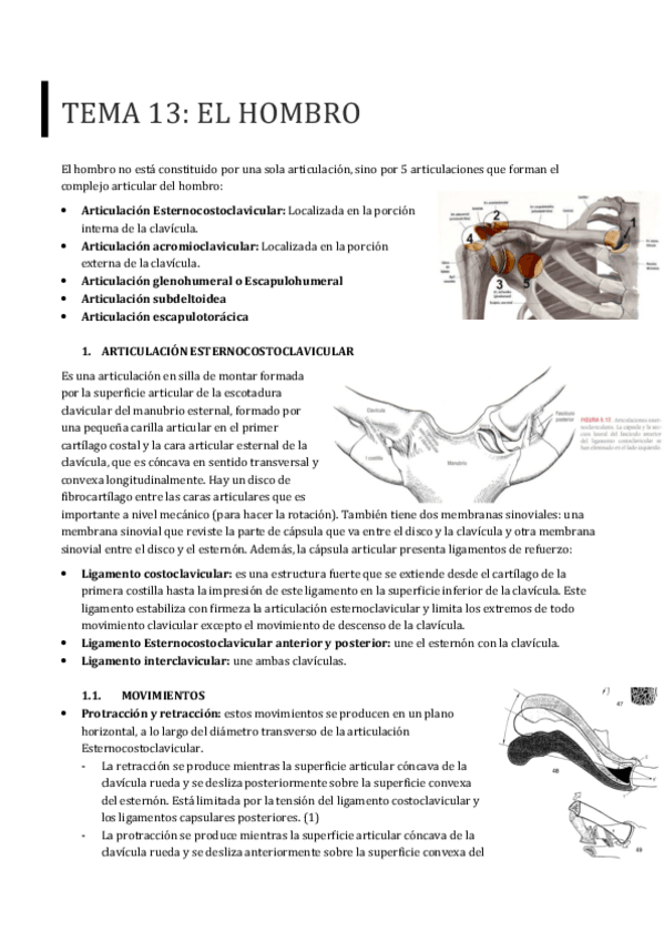 Miniatura del documento TEMA-13.pdf