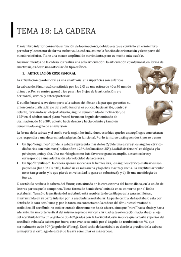 Miniatura del documento TEMA-18.pdf