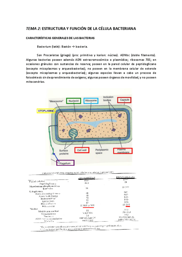 Miniatura del documento TEMA 2 ESTRUCTURA- FUNCIÓN, NUTRICIÓN, CULTIVO, REPRODUCCIÓN, GENÉTICA, ACCIÓN DE LOS AGENTES FÍSICOS, QUÍMICOS Y BIOLÓGICOS Y TAXONOMÍA.pdf