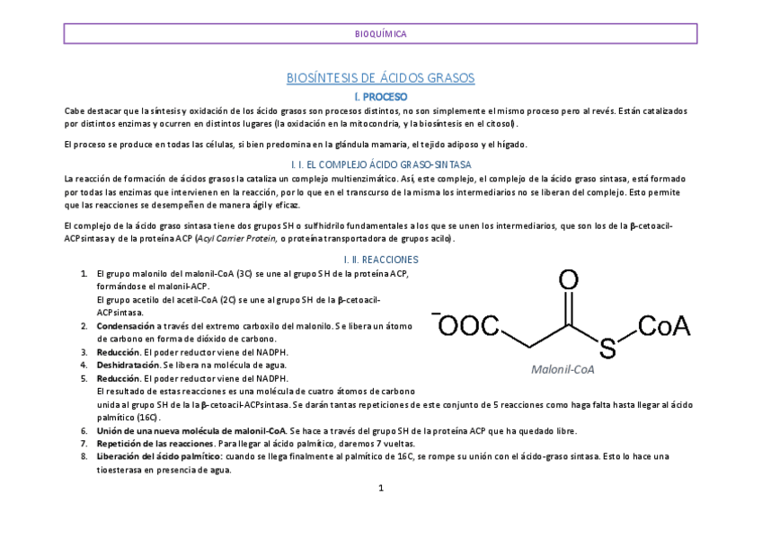 Miniatura del documento BIOSINTESIS-DE-ACIDOS-GRASOS.pdf
