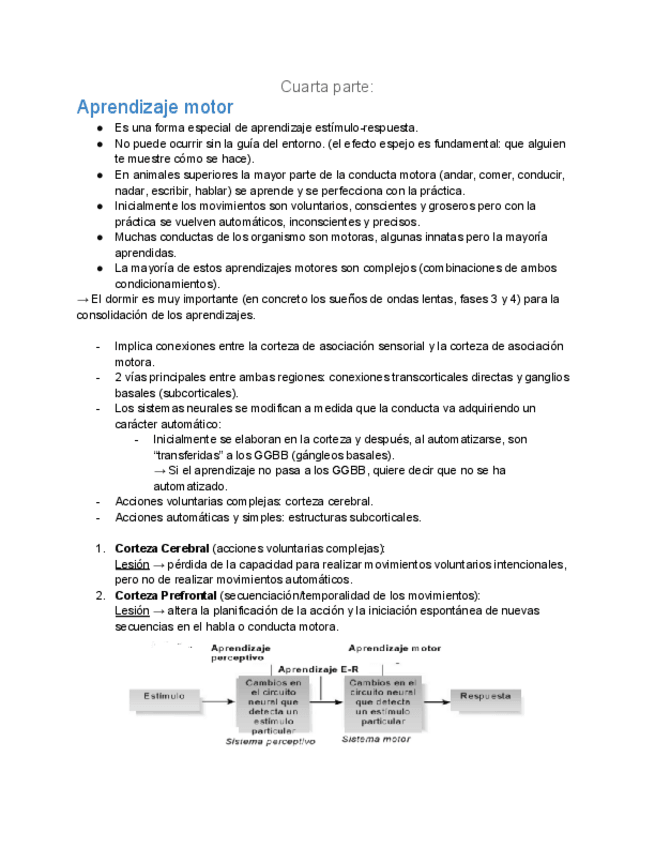 Miniatura del documento Tema-4-Parte-4-Fisio-II.pdf