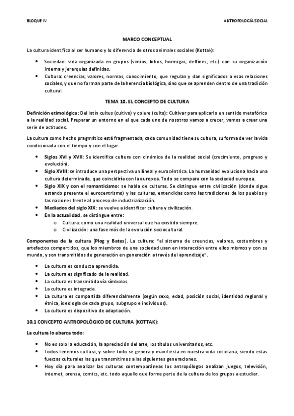Miniatura del documento ANTROPOLOGIA-bloque-IV.pdf