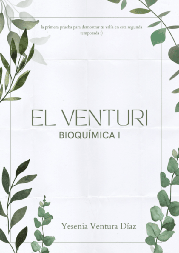 Miniatura del documento el-venturi.pdf