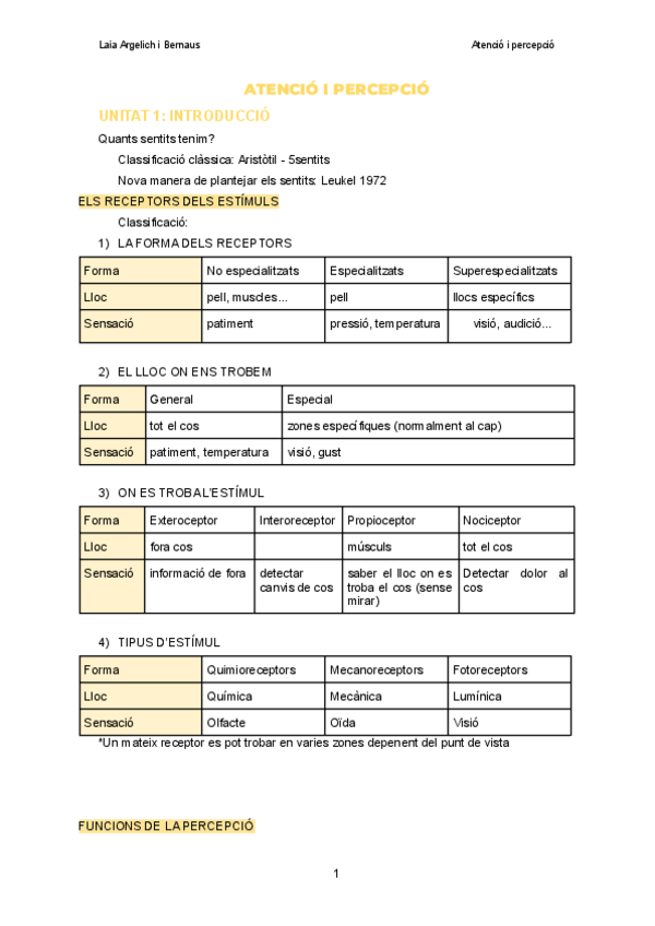 Miniatura del documento Atencio-i-percepcio.pdf