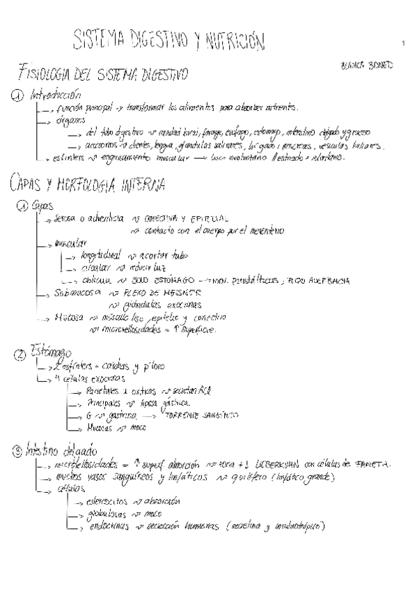 Miniatura del documento esquema-digestivo-y-nutricion.pdf