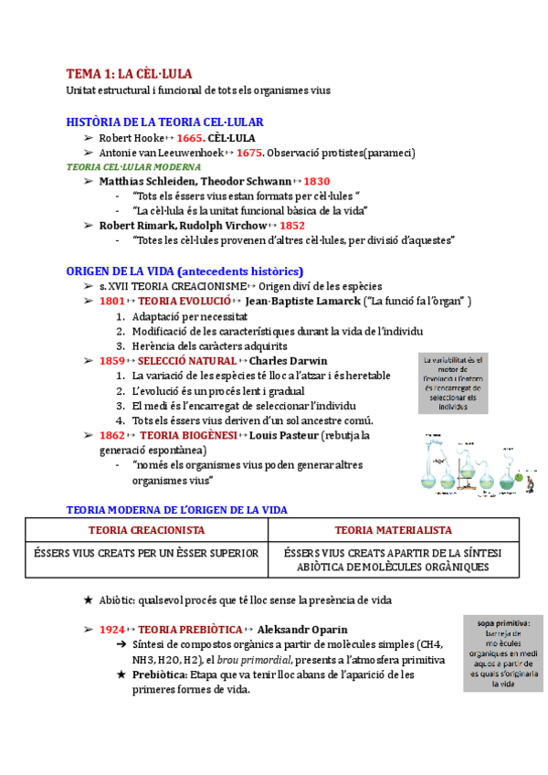 Miniatura del documento TOT-FINAL.pdf
