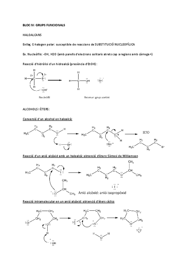 Miniatura del documento Bloc-IV-Grups-funcionals.pdf