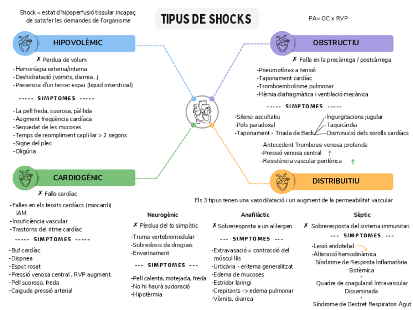 Miniatura del documento Tipus-de-Shocks-esquema.pdf