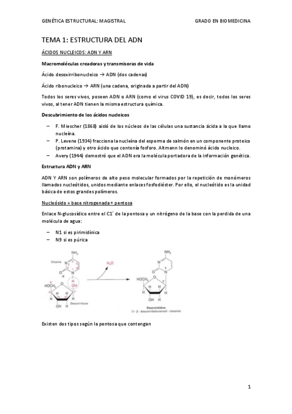 Miniatura del documento TEMA-1-mis-apuntes-MG.pdf