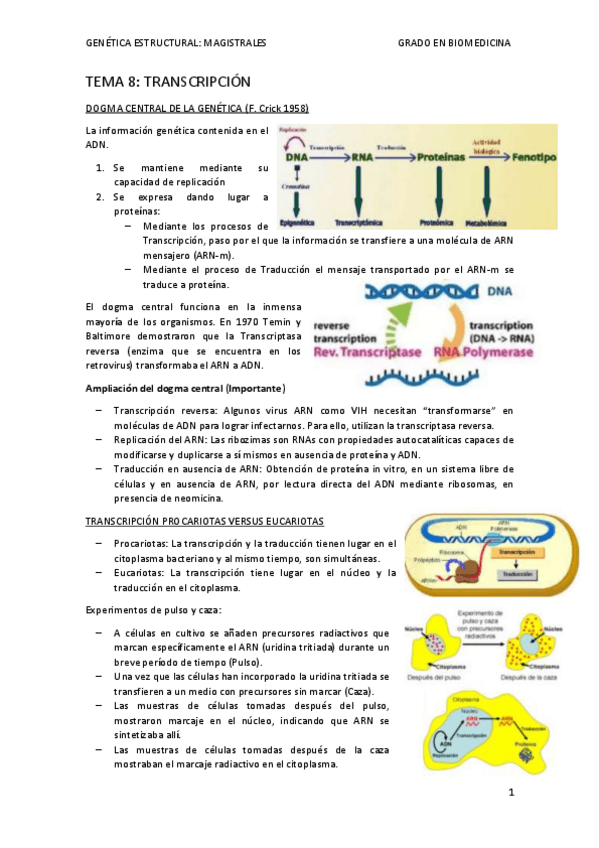 Miniatura del documento TEMA-8-mis-apuntes-MG.pdf
