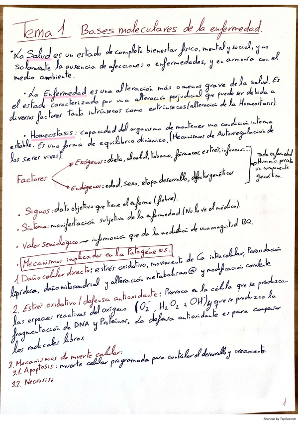 Miniatura del documento RESUMEN-CONCEPTOS-POR-TEMA.pdf