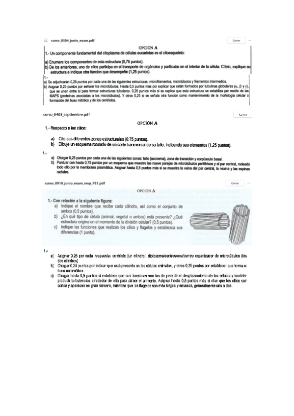 Miniatura del documento Actividades-T10.pdf