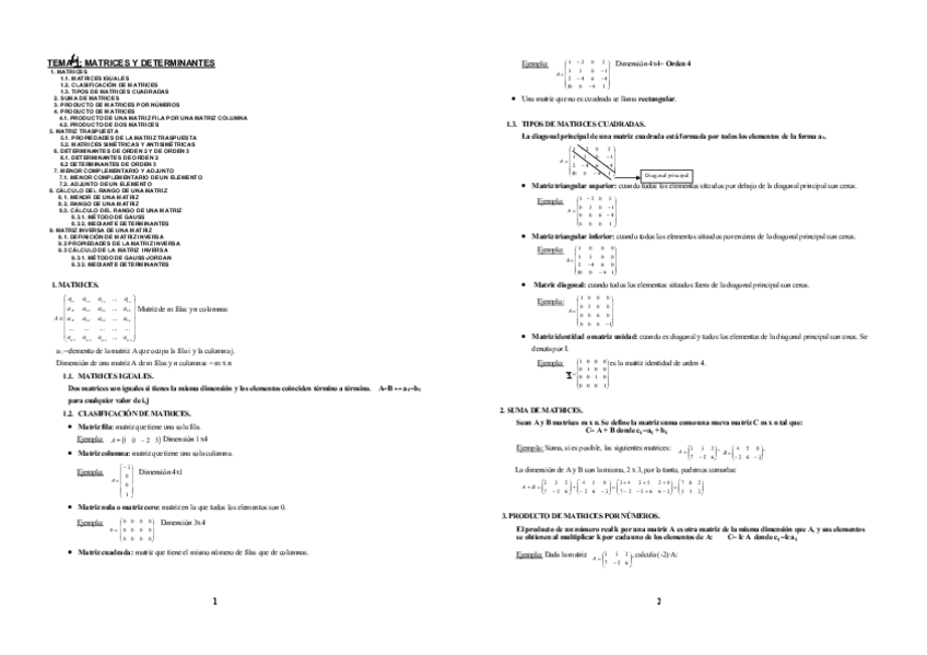 Miniatura del documento Tema-4-Matrices.pdf