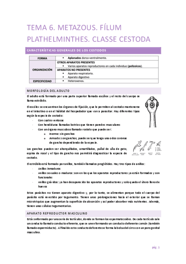 Miniatura del documento Parasitologia-T6.pdf