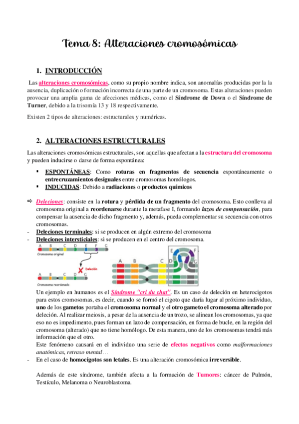 Miniatura del documento TEMA-8.-ALTERACIONES-CROMOSOMICAS.pdf
