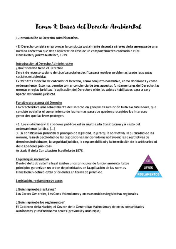 Miniatura del documento Apuntes-derecho-completos.pdf