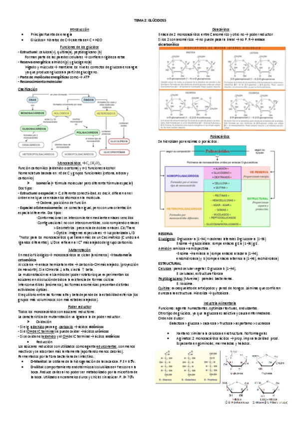 Miniatura del documento esquemas-primer-parcial.pdf