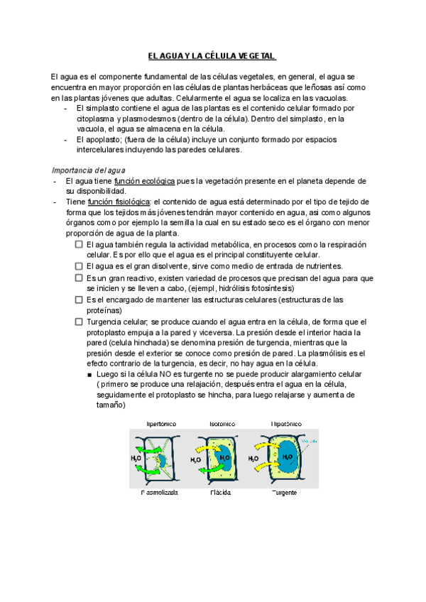 Miniatura del documento El-agua-FFV.pdf