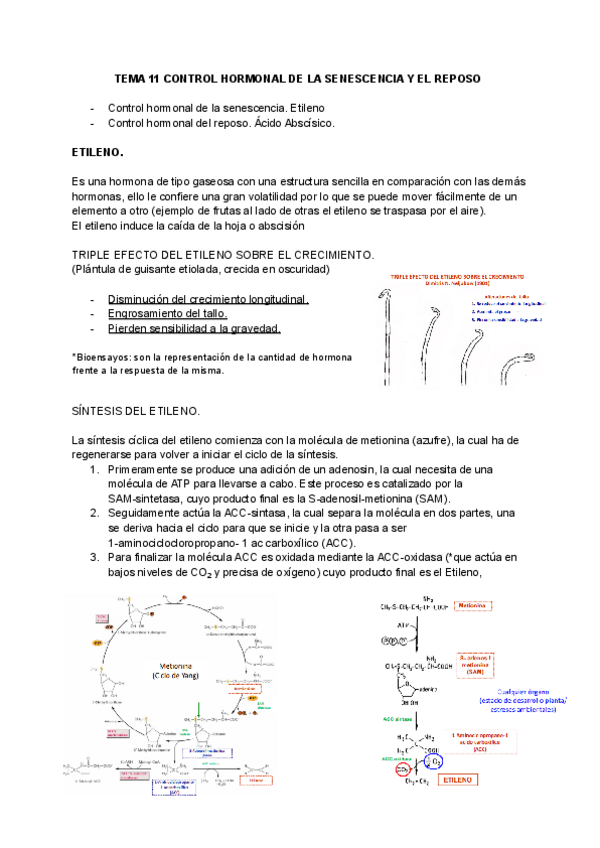 Miniatura del documento T.-11.-CONTROL-HORMONAL-DE-LA-SENESCENCIA-Y-EL-REPOSO.pdf