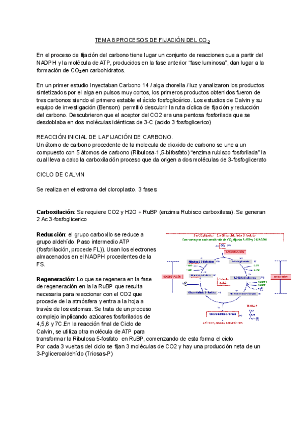 Miniatura del documento T.8.-PROCESOS-DE-FIJACION-DEL-CO2.pdf