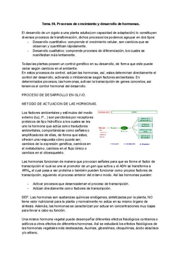 Miniatura del documento T.10.-Procesos-de-crecimiento-y-desarrollo-de-hormonas.pdf