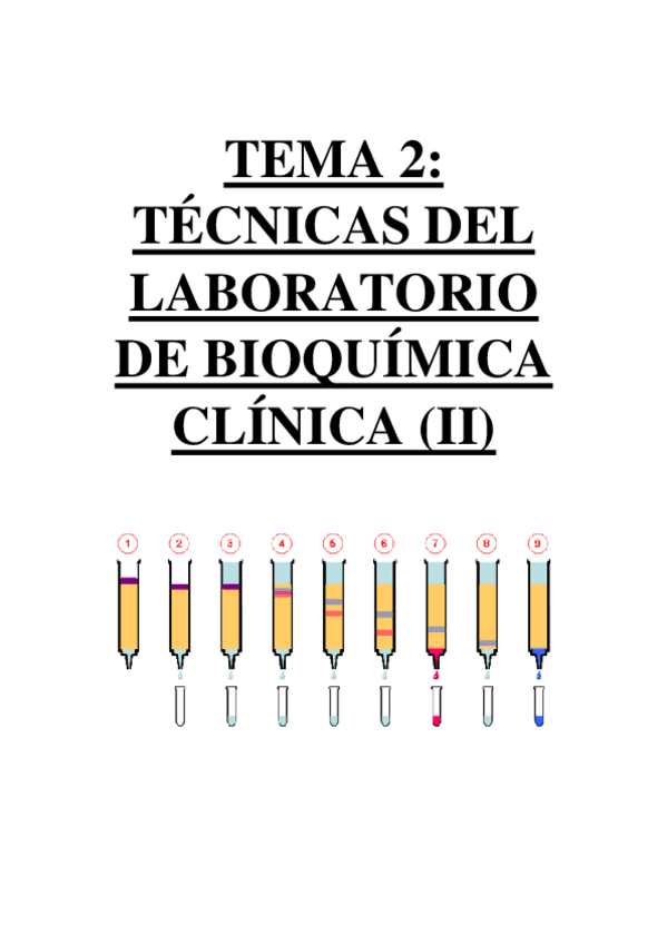 Miniatura del documento TEMA 2 - TÉCNICAS DEL LABORATORIO DE BIOQUÍMICA-CLÍNICA (II).pdf