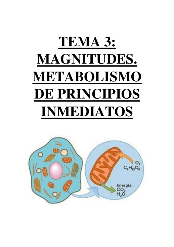 Miniatura del documento TEMA 3 - MAGNITUDES. METABOLISMO DE PRINCIPIOS INMEDIATOS.pdf