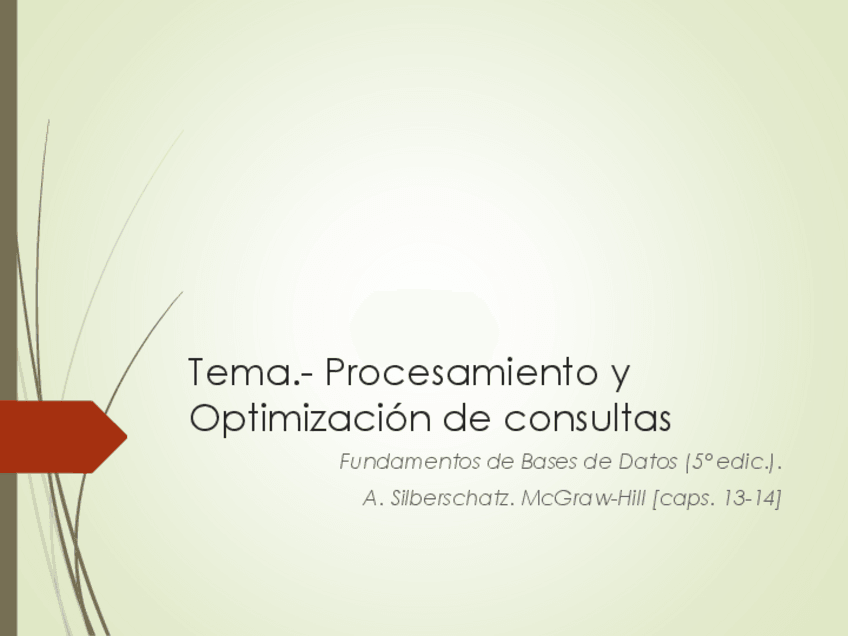 Miniatura del documento TEMA-Optimizacion.pdf