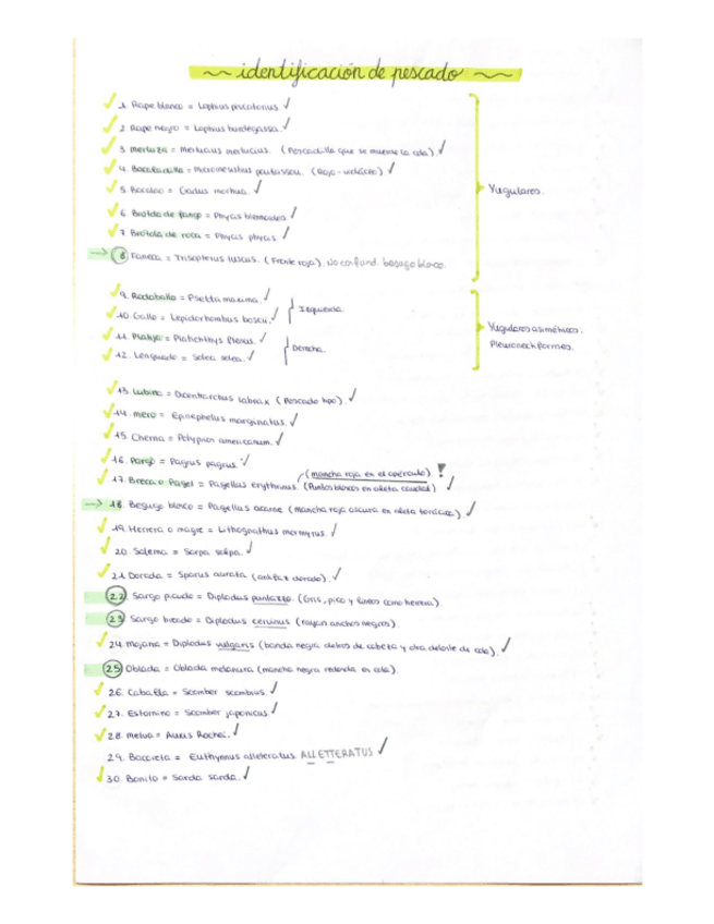 Miniatura del documento Lista-pescados-importantes.pdf