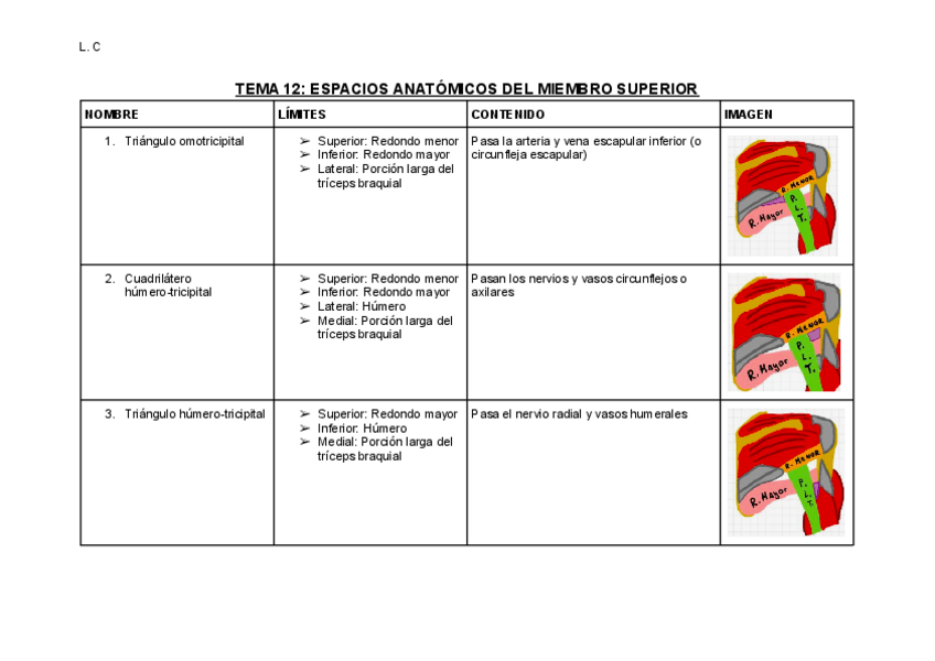Miniatura del documento T12-ESPACIOS-ANATOMICOS-DEL-MIEMBRO-SUPERIOR.pdf