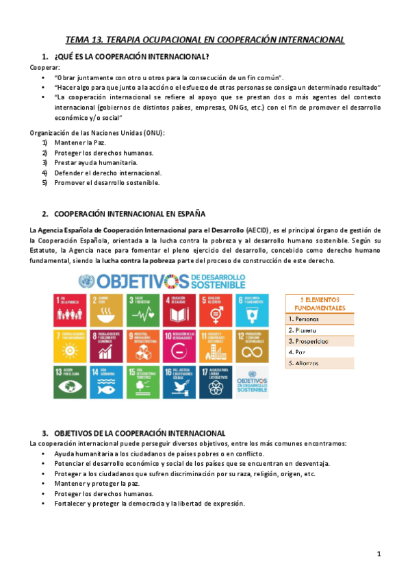Miniatura del documento T13.-TO-EN-COOPERACION-INTERNACIONAL.pdf