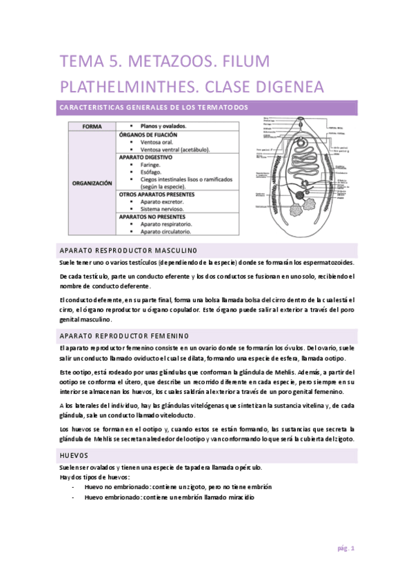 Miniatura del documento Parasitologia-T5.pdf