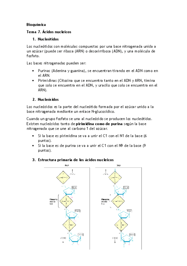 Miniatura del documento Tema 7. Acidos Nucleicos.pdf