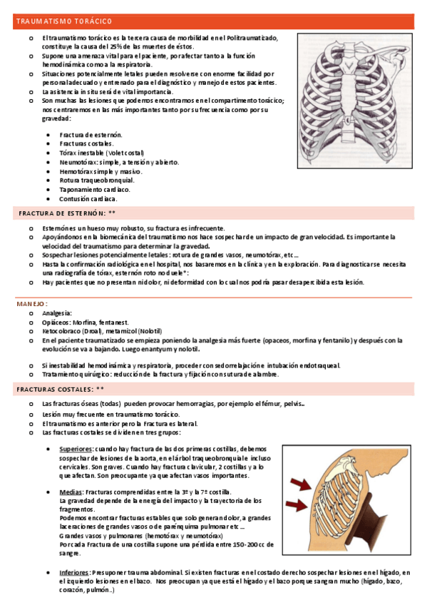 Miniatura del documento TRAUMATISMO-TORACICO-1.pdf
