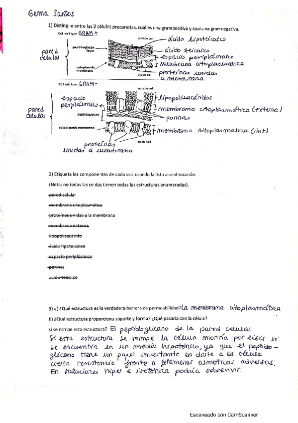 Miniatura del documento Ficha.pdf