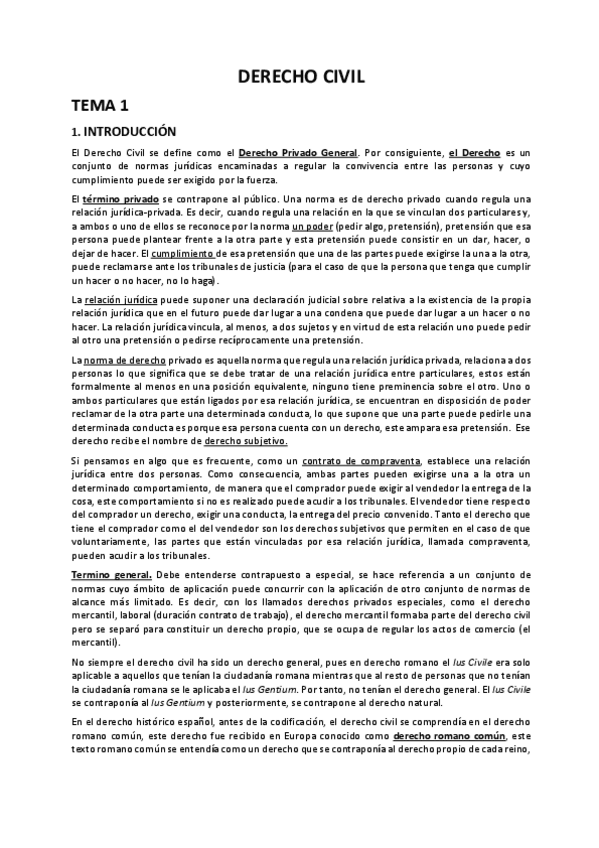 Miniatura del documento CIVIL ENTERO.pdf