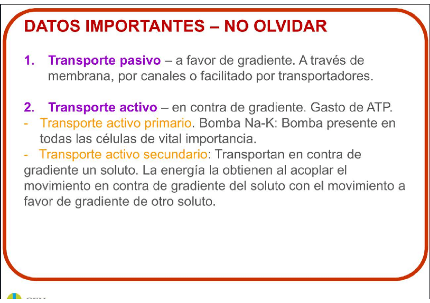 Miniatura del documento Resumen-rapido-tema-2.pdf