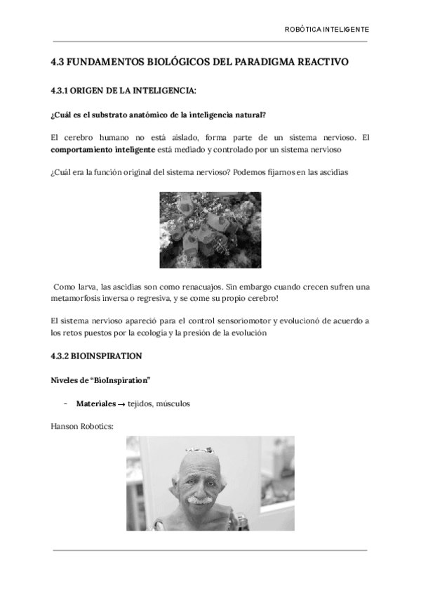 Miniatura del documento Tema-4-Parte-3.pdf