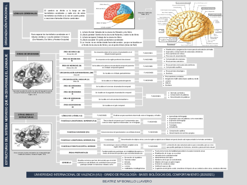Miniatura del documento Actividad-UC1.pdf