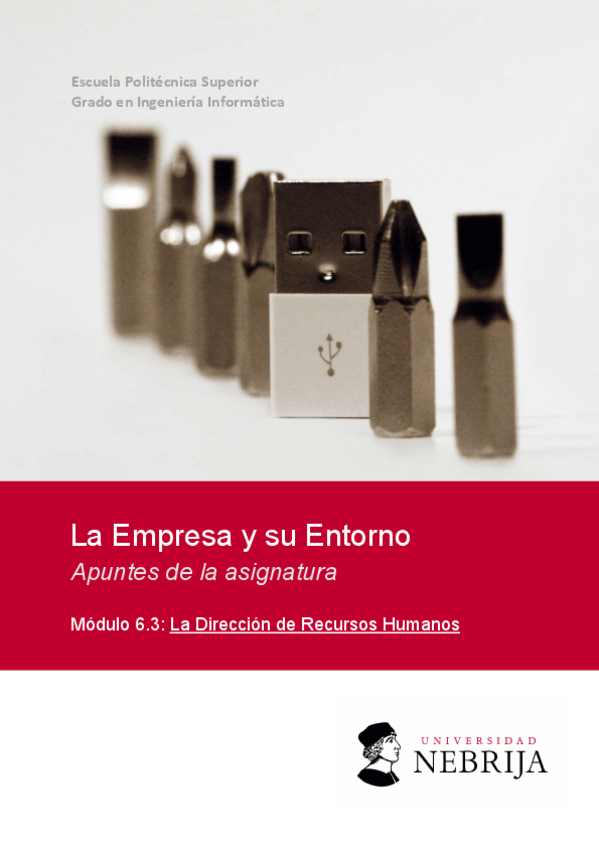 Miniatura del documento Modulo-6.3apuntesDireccion-de-Recursos-Humanos.pdf