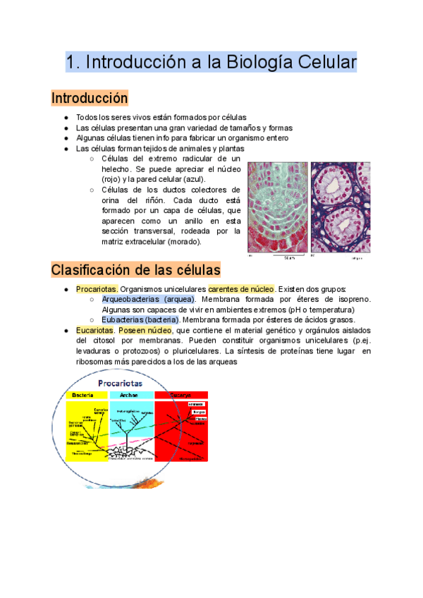 Miniatura del documento 1.-Introduccion-a-la-Biologia-Celular.pdf