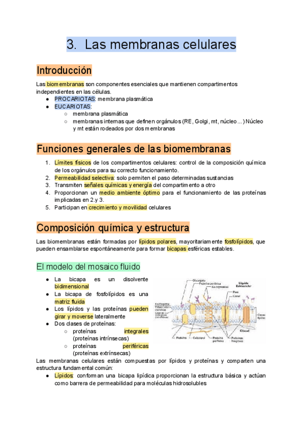 Miniatura del documento 3.-Las-membranas-celulares.pdf